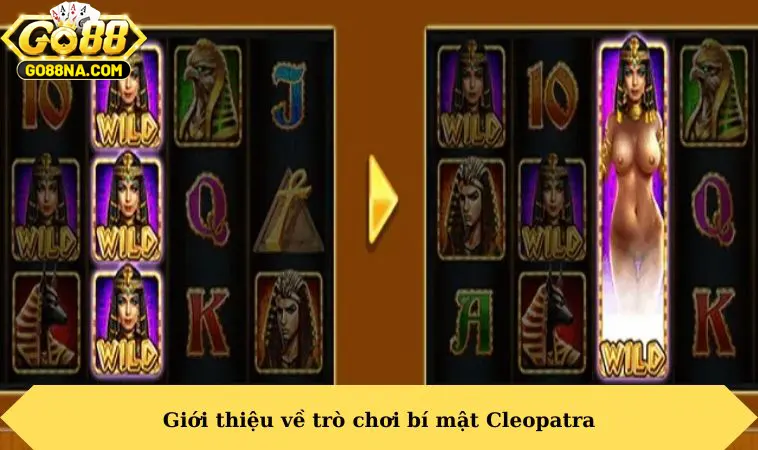 Giới thiệu về trò chơi bí mật Cleopatra