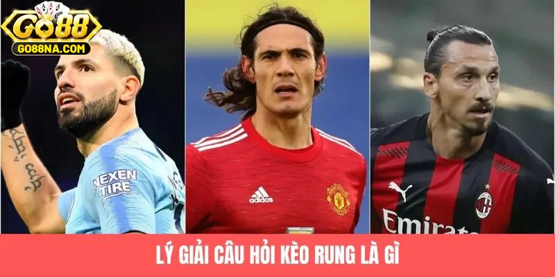 Lý giải câu hỏi kèo rung là gì?